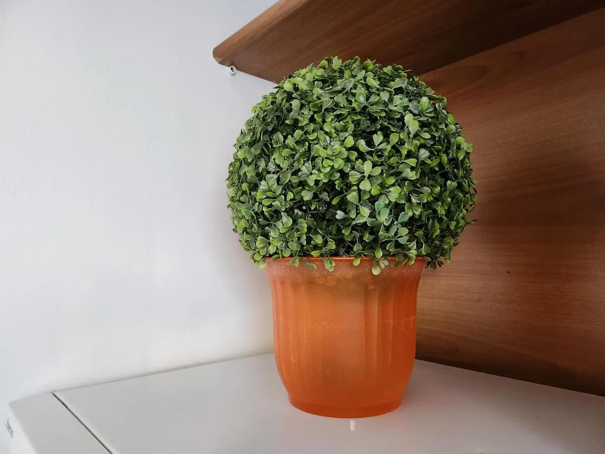 Apartment Comfort Accommodation Residence Bergamo